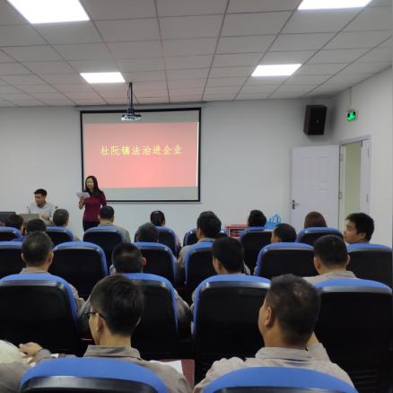 杜阮龙榜招聘职位详解及申请指南