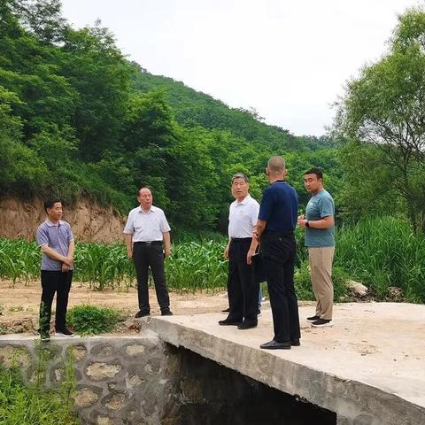 宜阳县最新招标信息全面解析