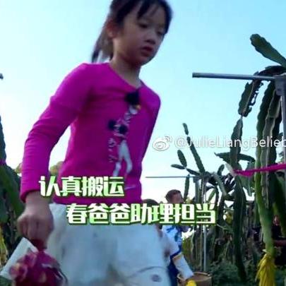 Q宠天使最新版深度解析与全面体验攻略