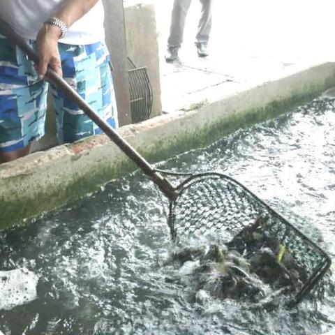 最新增氧机，提升生活品质的科技神器