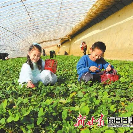 最新新闻