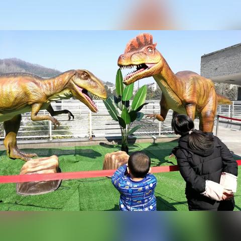 探寻之旅